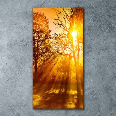 Quadro in vetro acrilico verticale Parco in autunno