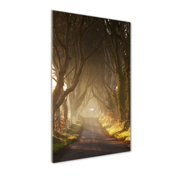 Quadro acrilico verticale Sentiero nella foresta