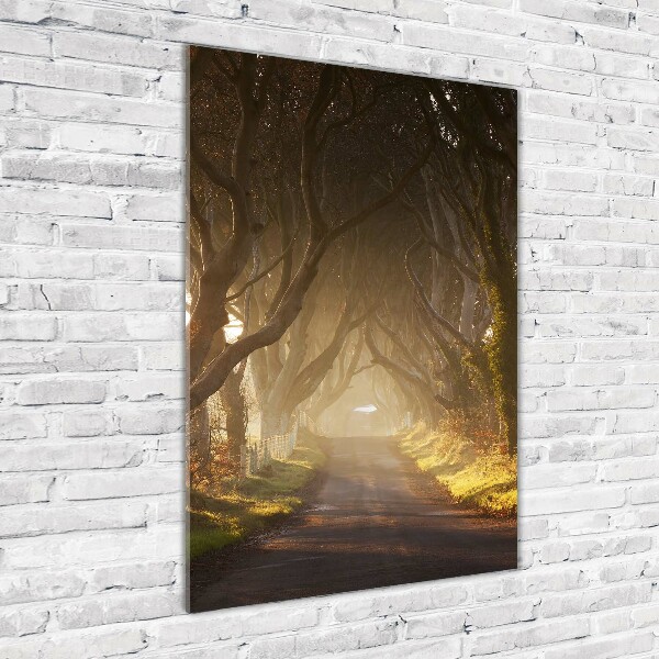 Quadro acrilico verticale Sentiero nella foresta