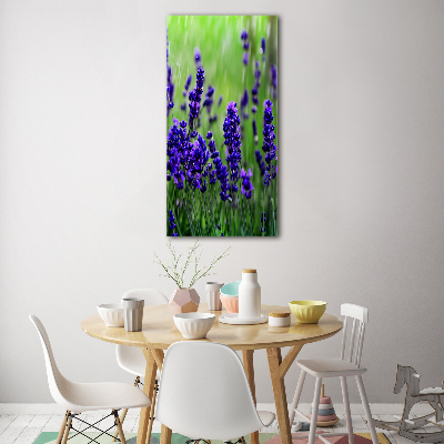 Quadro vetro acrilico verticale Campo di lavanda