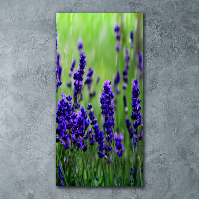 Quadro vetro acrilico verticale Campo di lavanda
