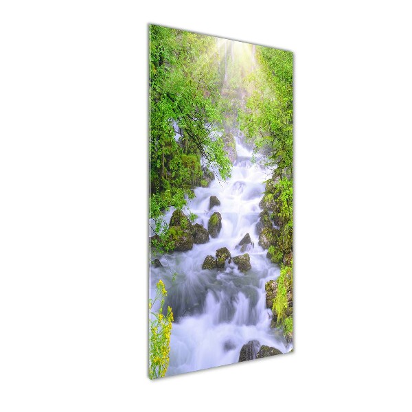 Quadro vetro acrilico verticale Torrente di montagna