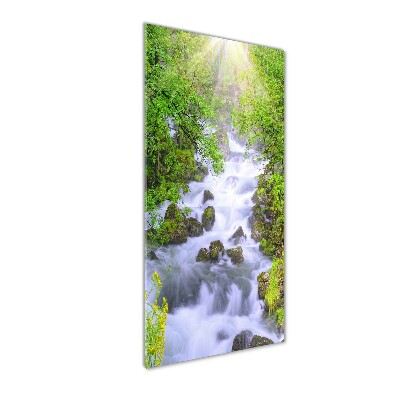 Quadro vetro acrilico verticale Torrente di montagna