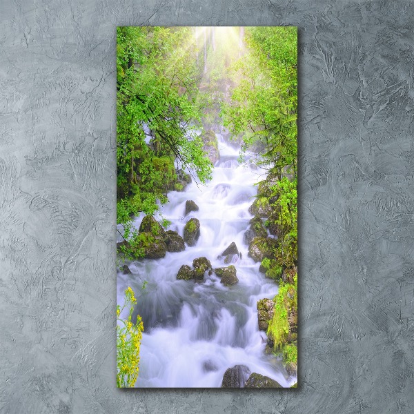 Quadro vetro acrilico verticale Torrente di montagna