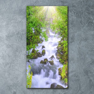 Quadro vetro acrilico verticale Torrente di montagna