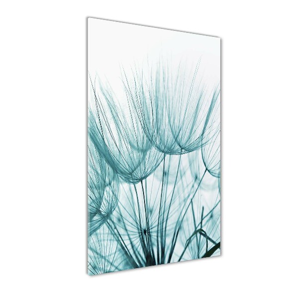 Quadro in vetro acrilico verticale Semi di tarassaco