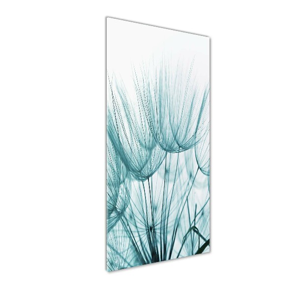 Quadro in vetro acrilico verticale Semi di tarassaco