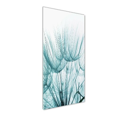 Quadro in vetro acrilico verticale Semi di tarassaco