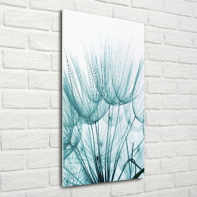 Quadro in vetro acrilico verticale Semi di tarassaco