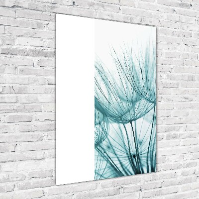 Quadro in vetro acrilico verticale Semi di tarassaco
