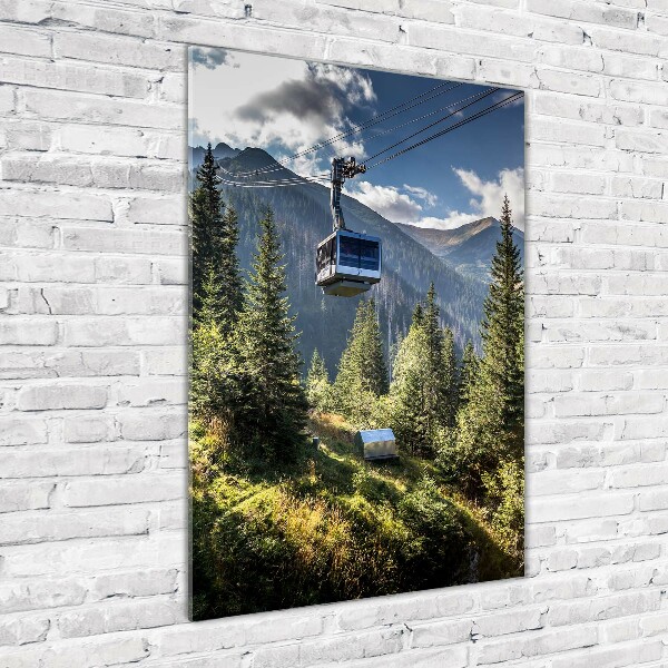 Quadro acrilico verticale Montagne russe