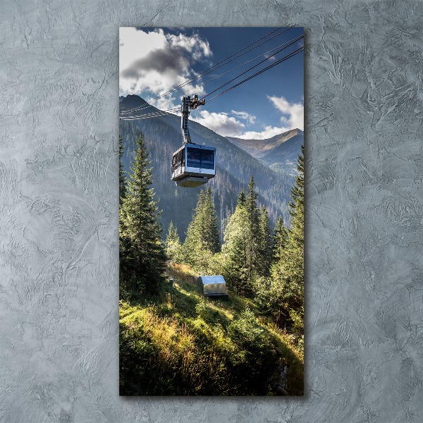 Quadro acrilico verticale Montagne russe