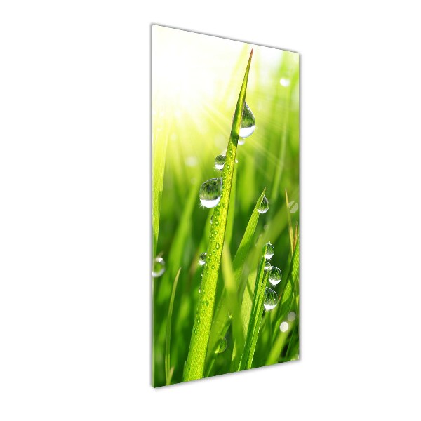 Quadro vetro acrilico verticale Fili d'erba