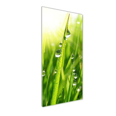 Quadro vetro acrilico verticale Fili d'erba