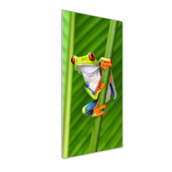 Quadro in vetro acrilico verticale Rana arboricola europea
