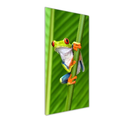 Quadro in vetro acrilico verticale Rana arboricola europea