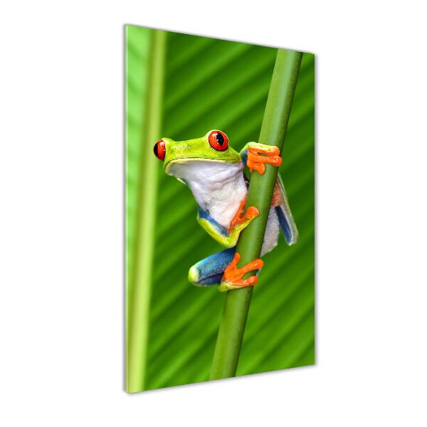 Quadro in vetro acrilico verticale Rana arboricola europea