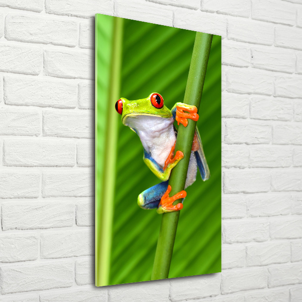 Quadro in vetro acrilico verticale Rana arboricola europea