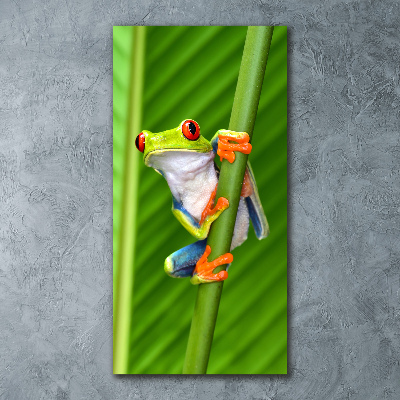 Quadro in vetro acrilico verticale Rana arboricola europea