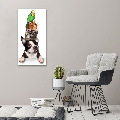 Quadro vetro acrilico verticale Animali domestici