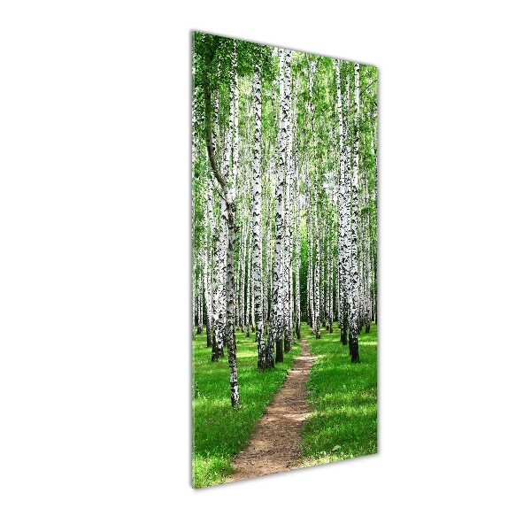 Quadro stampa su vetro acrilico verticale Foresta di betulle