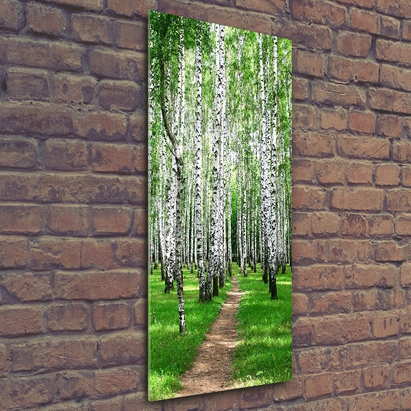 Quadro stampa su vetro acrilico verticale Foresta di betulle
