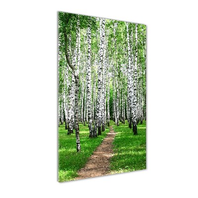 Quadro stampa su vetro acrilico verticale Foresta di betulle