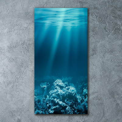Quadro vetro acrilico verticale Mondo sottomarino