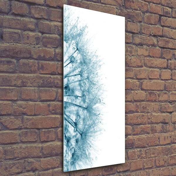 Quadro stampa su vetro acrilico verticale Semi di tarassaco