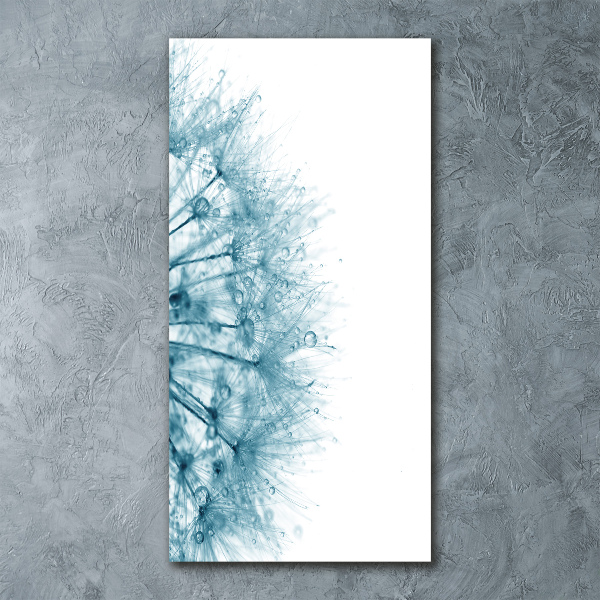 Quadro stampa su vetro acrilico verticale Semi di tarassaco