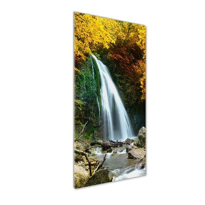 Quadro in vetro acrilico verticale Cascata nella foresta