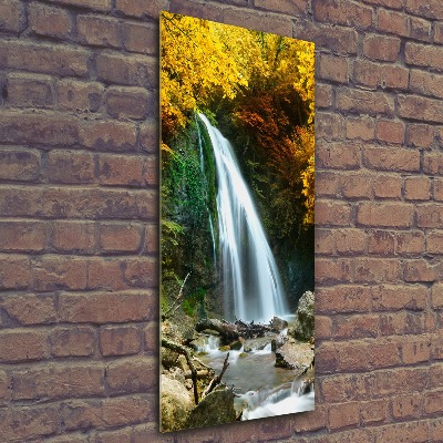 Quadro in vetro acrilico verticale Cascata nella foresta