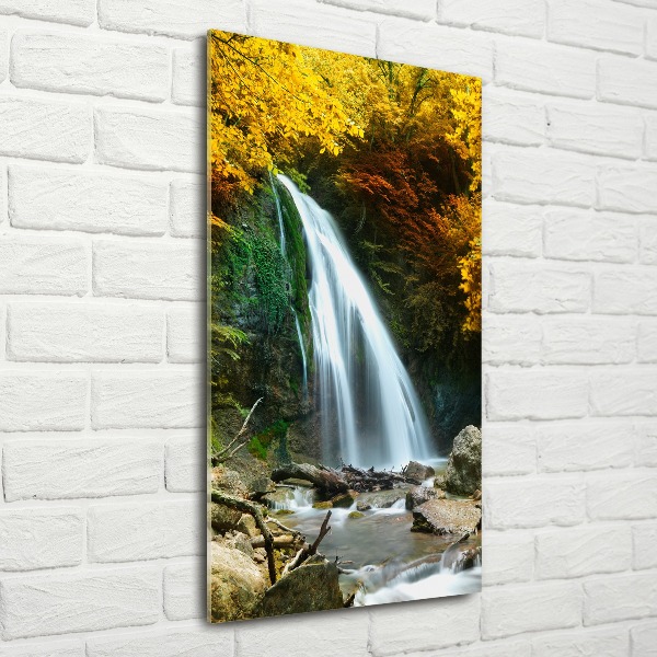 Quadro in vetro acrilico verticale Cascata nella foresta