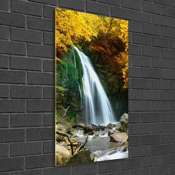 Quadro in vetro acrilico verticale Cascata nella foresta