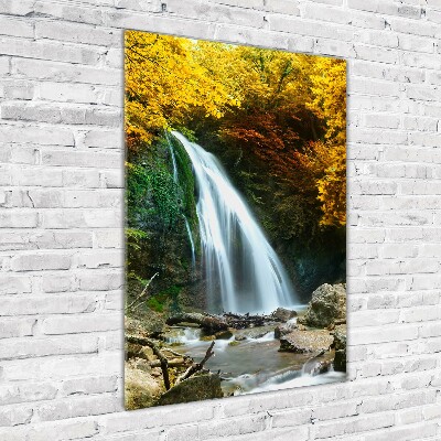 Quadro in vetro acrilico verticale Cascata nella foresta