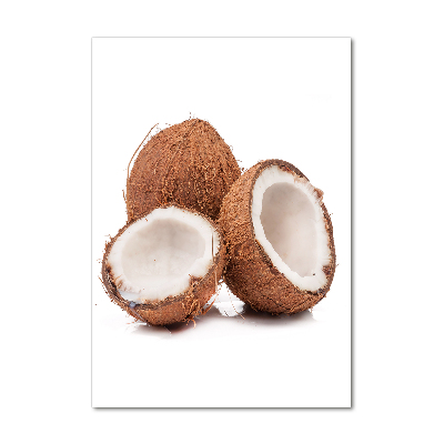 Quadro in vetro acrilico verticale Noce di cocco