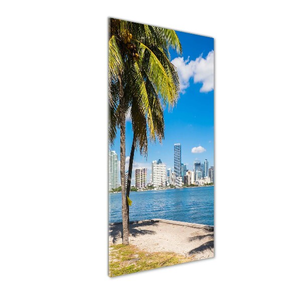 Quadro stampa su vetro acrilico verticale Miami