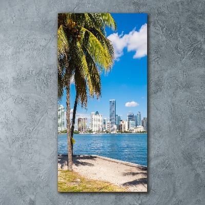Quadro stampa su vetro acrilico verticale Miami