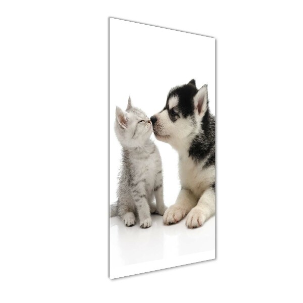 Quadro vetro acrilico verticale Cane e gatto