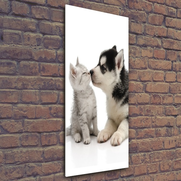 Quadro vetro acrilico verticale Cane e gatto