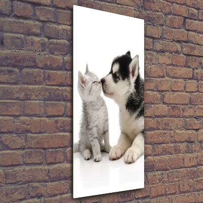 Quadro vetro acrilico verticale Cane e gatto
