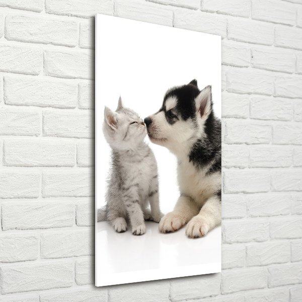 Quadro vetro acrilico verticale Cane e gatto