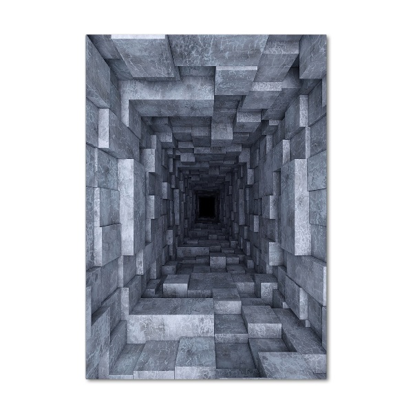 Quadro stampa su vetro acrilico verticale Tunnel