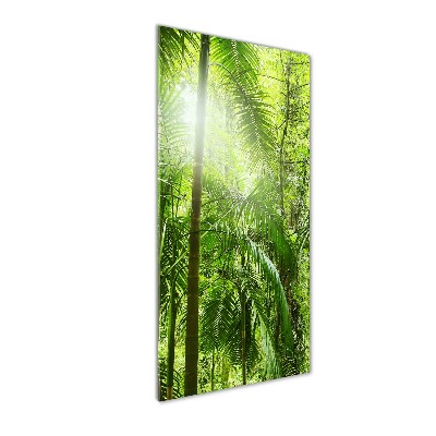 Quadro vetro acrilico verticale Foresta pluviale