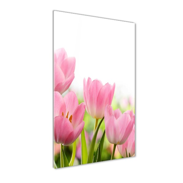 Quadro vetro acrilico verticale Giardino rosa