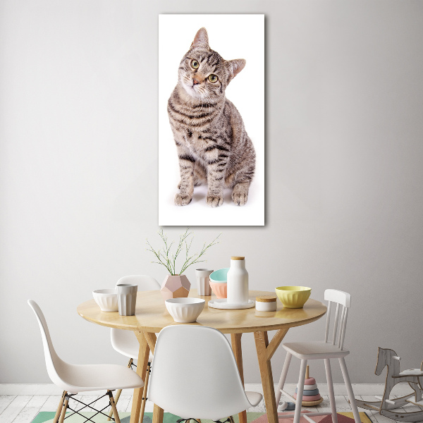 Quadro in vetro acrilico verticale Gatto
