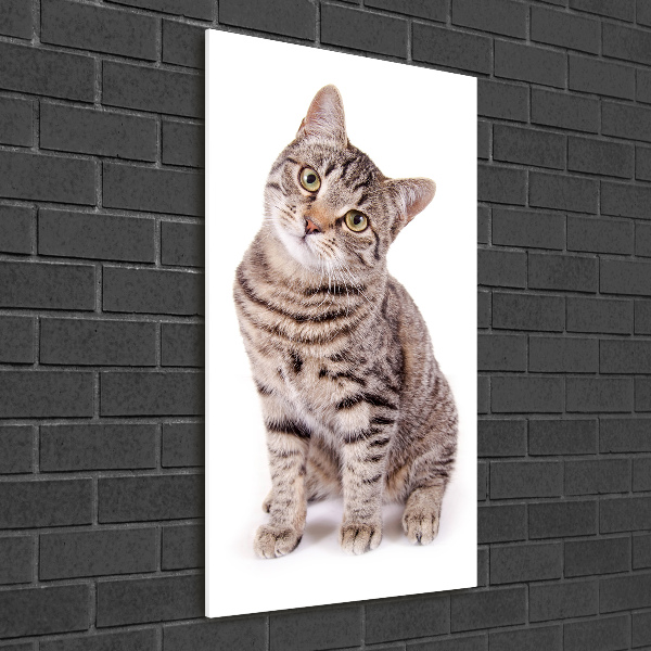 Quadro in vetro acrilico verticale Gatto