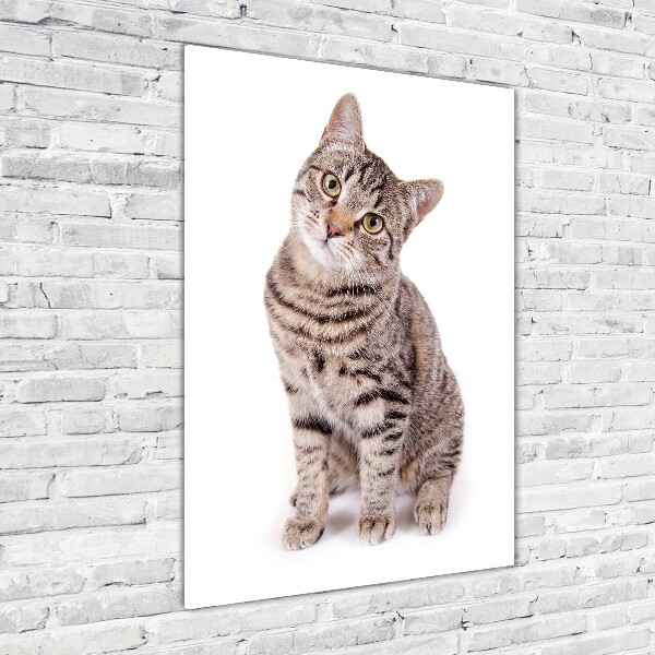 Quadro in vetro acrilico verticale Gatto