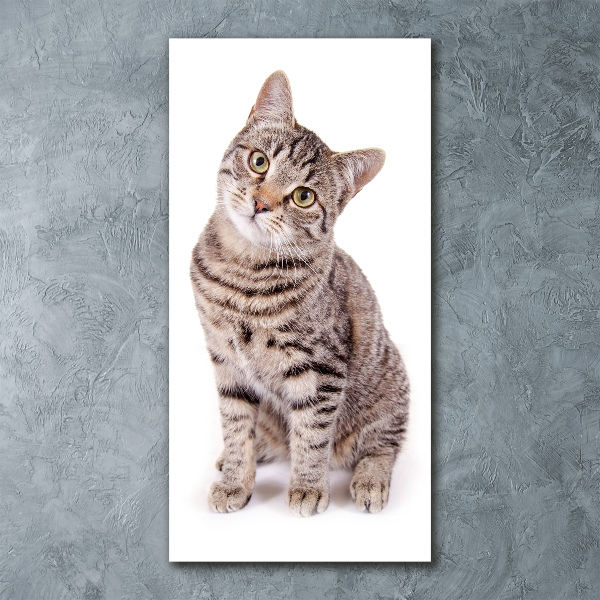 Quadro in vetro acrilico verticale Gatto