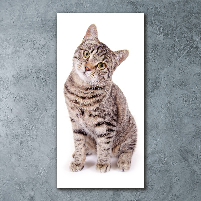 Quadro in vetro acrilico verticale Gatto